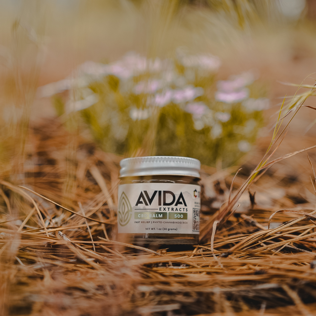 AVIDA Extracts 500mg CBD balm jar resting on pine needles in an outdoor setting, designed for fast relief with a phyto-cannabinoid-rich formula.